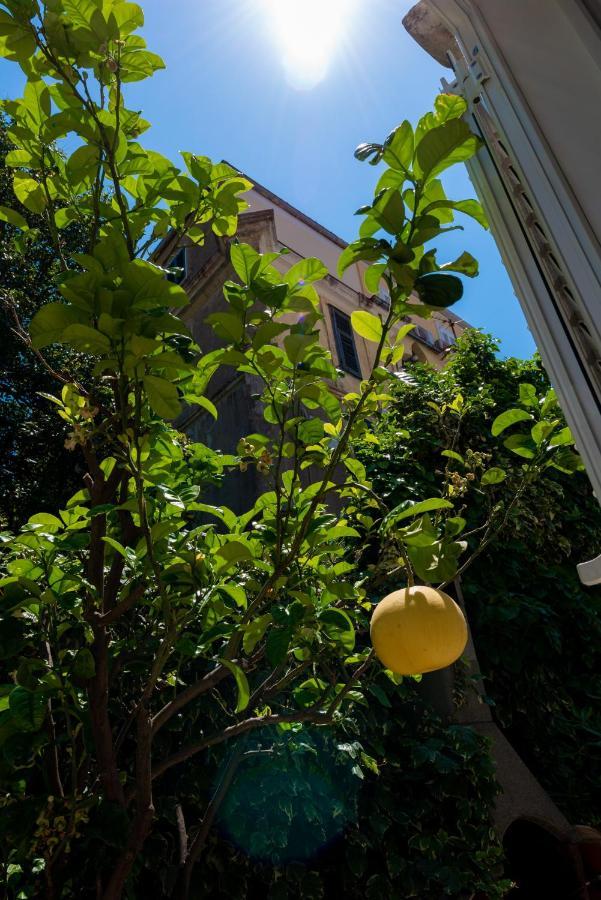 Villa Ida Dubrovnik Dış mekan fotoğraf